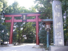 その他お役立ち・根津神社